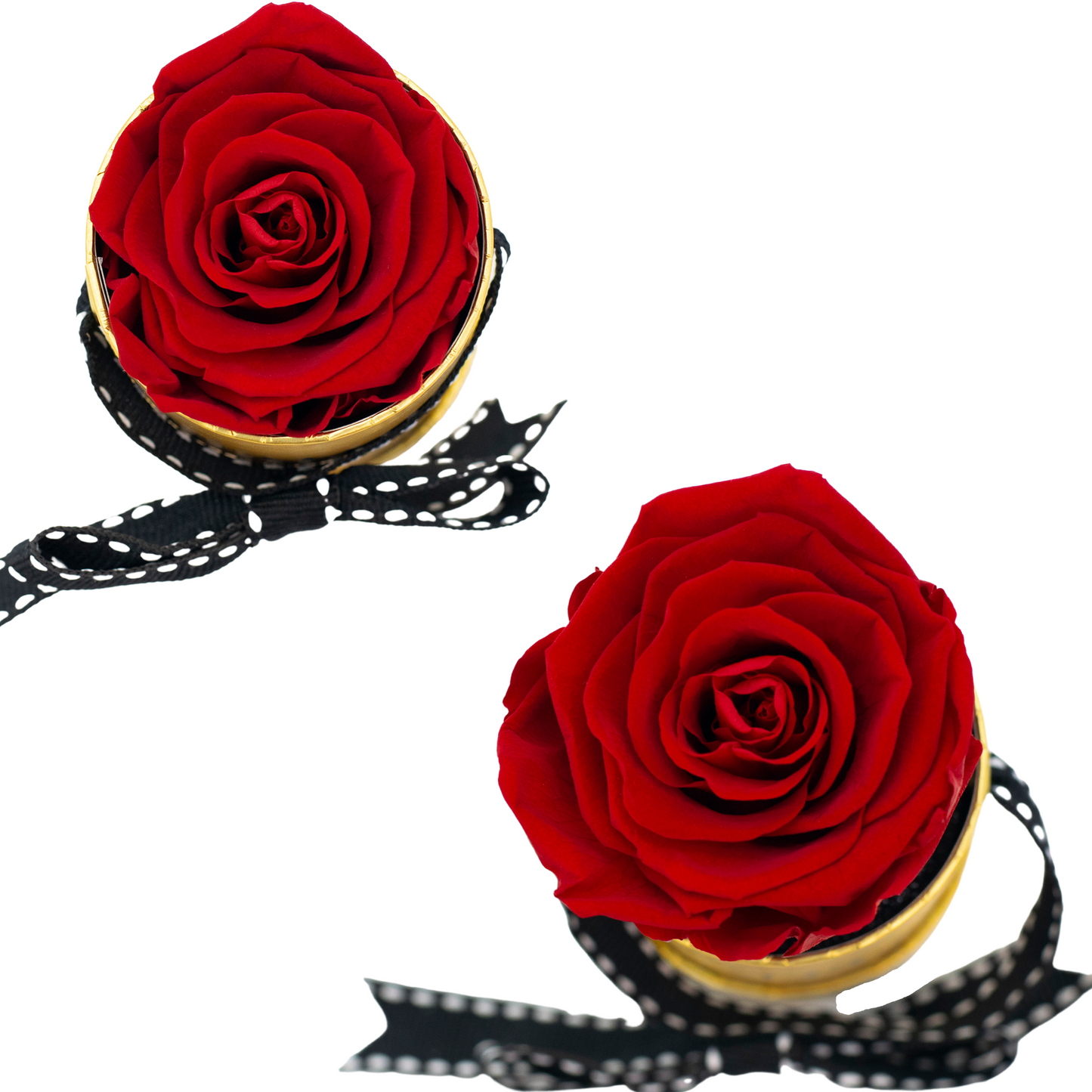 Disney Beauty & the Beast Limited Edition Golden One Up