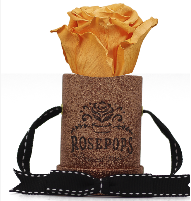 1 Rose Round - Rose Gold