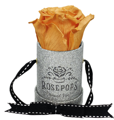 1 Rose Round - Platinum