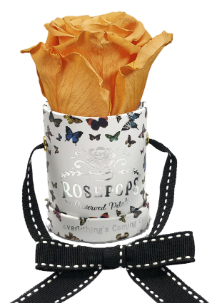 1 Rose Round - Butterfly