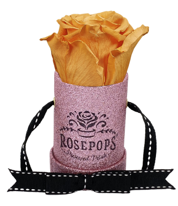 1 Rose Round - Hint of Pink