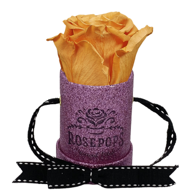 1 Rose Round - Perfect Pink