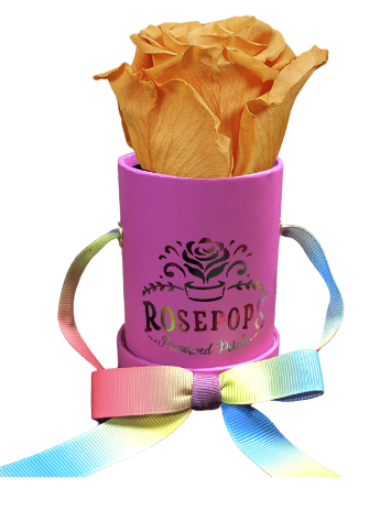 1 Rose Round - Hot Pink