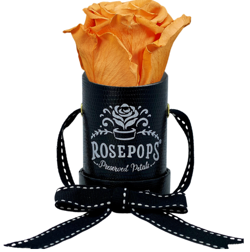 1 Rose Round - Black Lizard