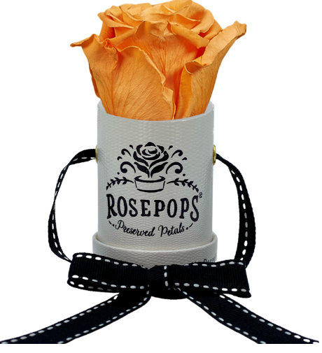 1 Rose Round - White Lizard