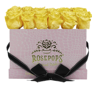 18 Roses Rectangle - Pink Croc
