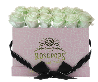 12 Roses Rectangle - Pink Croc