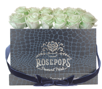 12 Roses Rectangle - Sapphire