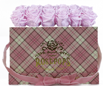 12 Roses Rectangle - Preppy Pink