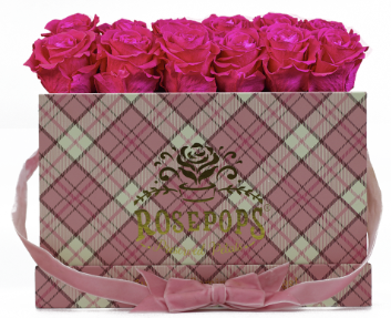 12 Roses Rectangle - Preppy Pink