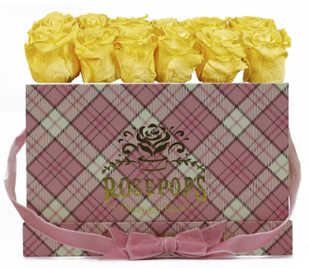 12 Roses Rectangle - Preppy Pink