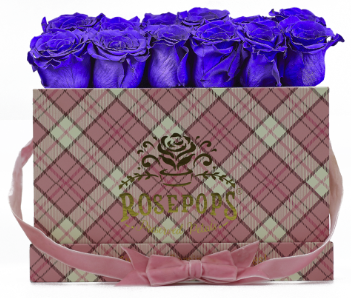 12 Roses Rectangle - Preppy Pink