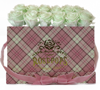 12 Roses Rectangle - Preppy Pink