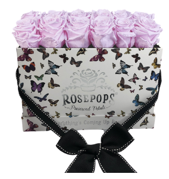 12 Roses Rectangle - Butterfly