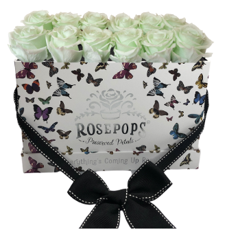 12 Roses Rectangle - Butterfly