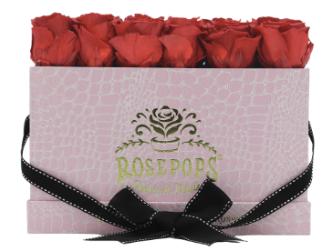 18 Roses Rectangle - Pink Croc