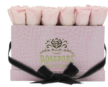 18 Roses Rectangle - Pink Croc