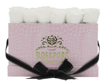 18 Roses Rectangle - Pink Croc