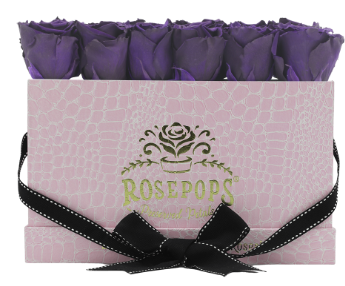 18 Roses Rectangle - Pink Croc