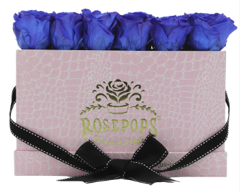 18 Roses Rectangle - Pink Croc