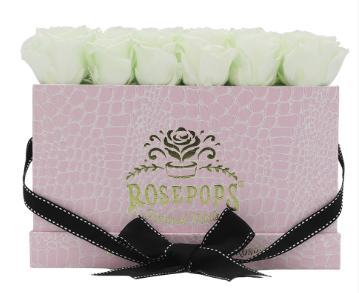 18 Roses Rectangle - Pink Croc