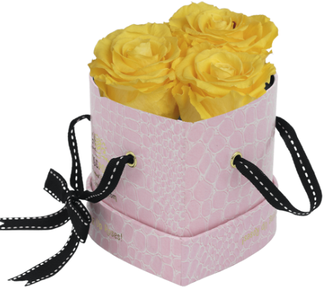 3 Roses Heart- Pink Croc