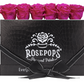 6 Roses Rectangle - Black Croc