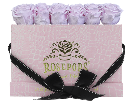 6 Roses Rectangle - Pink Croc