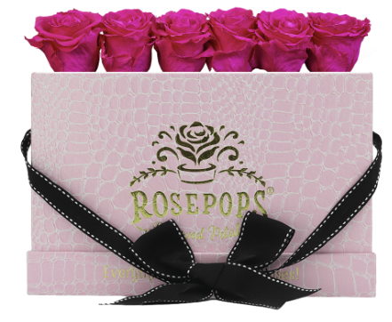 6 Roses Rectangle - Pink Croc