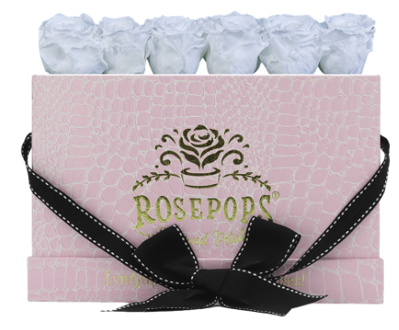 6 Roses Rectangle - Pink Croc