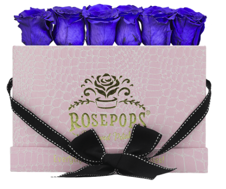 6 Roses Rectangle - Pink Croc