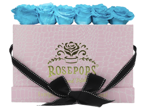 6 Roses Rectangle - Pink Croc