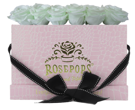 6 Roses Rectangle - Pink Croc