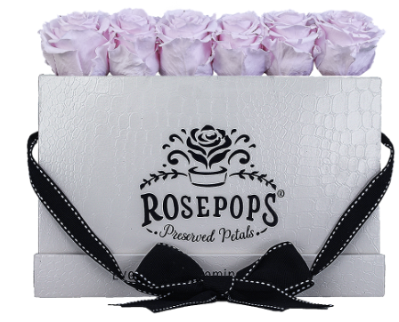 6 Roses Rectangle - White Croc