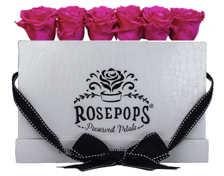 6 Roses Rectangle - White Croc