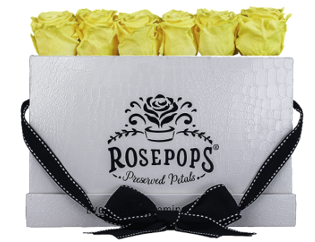 6 Roses Rectangle - White Croc