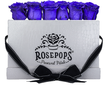 6 Roses Rectangle - White Croc