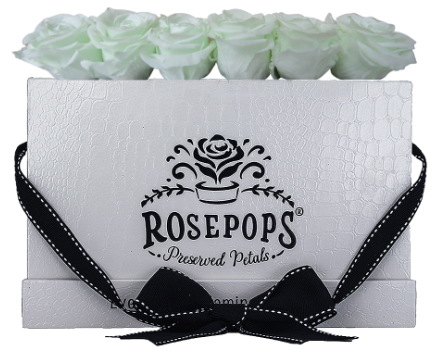 6 Roses Rectangle - White Croc