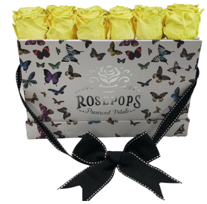 6 Roses Rectangle - Butterfly