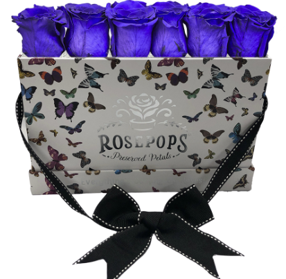 6 Roses Rectangle - Butterfly