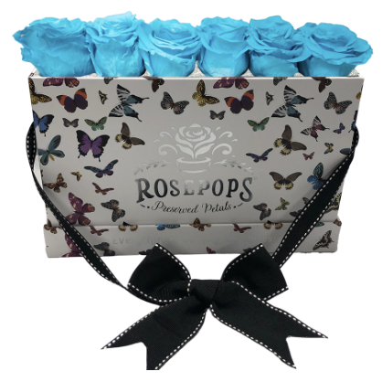 6 Roses Rectangle - Butterfly