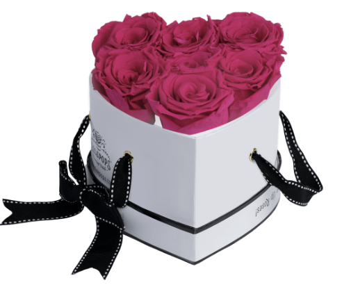 6 Roses Heart- White Lacquer