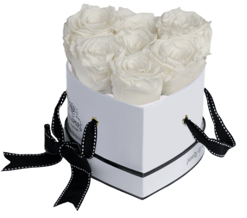 6 Roses Heart- White Lacquer