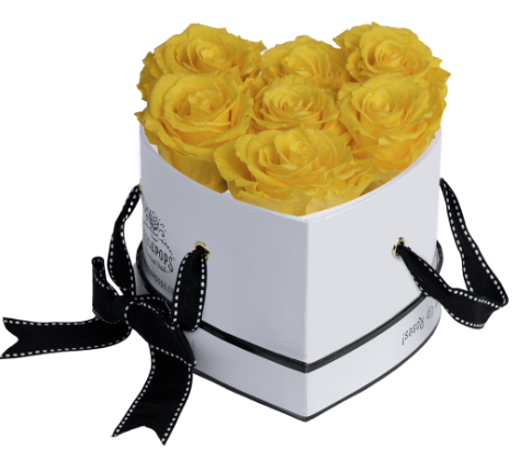 6 Roses Heart- White Lacquer