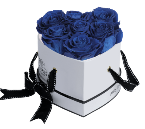 6 Roses Heart- White Lacquer