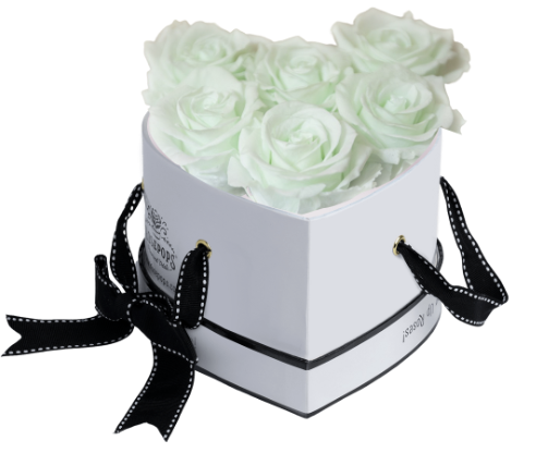 6 Roses Heart- White Lacquer