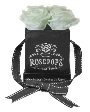 4 Roses Square - Black Lacquer