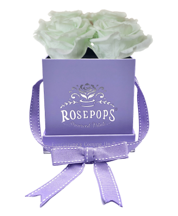 4 Roses Square - Lilac