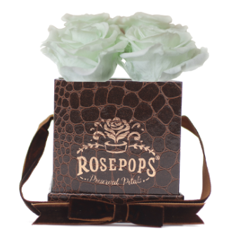 4 Roses Square - Chocolate