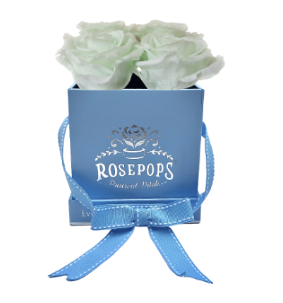 4 Roses Square - Sky Blue